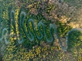 Drone view of a curvy road in Romania Royalty Free Stock Photo