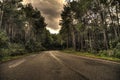 Curvy road at a cloudy day going through a forest