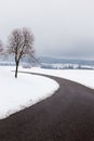 A curvy road in the midst of snow, with a tree at the side Royalty Free Stock Photo