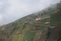 Curvy road on the slopes of Mount Bromo B-29