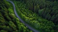 Curvy Road in Summer Pine Forest top Down Drone Photography