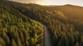 Curvy Road in Summer Pine Forest top Down Drone Photography