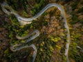 Curvy road trough atumn forest,aerial top down view