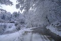 Curvy snow-covered road in winter across the winter forest. Dangerous driving season. Transport insurance