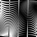 Curvy, waving lines abstract geometry element. Monochrome distorted stripes, random lines pattern