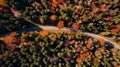 Curvy Winding Road in Forest at Fall. Vibrant Colors. Aerial Drone View Royalty Free Stock Photo