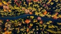 Curvy Winding Road in Forest at Fall. Vibrant Colors. Aerial Drone View Royalty Free Stock Photo