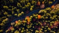 Curvy Winding Road in Forest at Fall. Vibrant Colors. Aerial Drone View Royalty Free Stock Photo