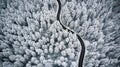 Curvy windy road in snow covered forest, top down aerial view Royalty Free Stock Photo