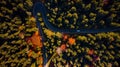 Curwy Winding Road Trough Forest at Fall Foliage Colors. Top Down Drone View Royalty Free Stock Photo