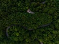 Cury road though a wonderful green forest as aerial top-down. Royalty Free Stock Photo