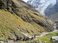 Cusco Province, Peru - May 8th, 2016: A young group of international hikers, led by their local Inca guide, navigate the Andes mo Royalty Free Stock Photo