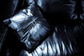 Cushion on the black couch