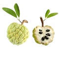 Custard apple