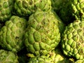 Custard Apple