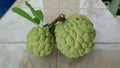 Custard apple Royalty Free Stock Photo