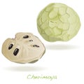 Custard apple or cherimoya vector