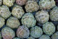 Custard apple detail Royalty Free Stock Photo