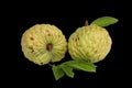 Custard apple Royalty Free Stock Photo
