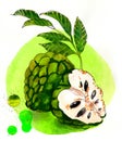 Custard apple