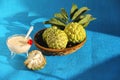 Custard apple, its seeds, leaves and glass bowl filled with custard apple pulp