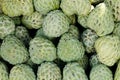 Custard Apple