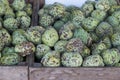 Custard Apples