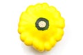 Custard Marrow Squash on white background Royalty Free Stock Photo