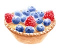 Custard tartlet with fresh berries, watercolor hand drawn illustration,