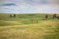 Custer State Park, Custer, SD