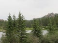 Custer State Park, South Dakota