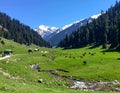 Jammu & Kashmir â Paradise on Earth Royalty Free Stock Photo