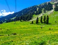 Jammu & Kashmir â Paradise on Earth Royalty Free Stock Photo