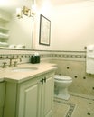 Custom bathroom with tile work Royalty Free Stock Photo