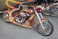 Custom bike