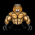 ANGRY LION GYM 1 Royalty Free Stock Photo
