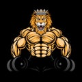 ANGRY LION GYM 1