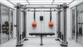 custom multi-functional pulley system with digital integration