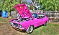 Custom painted 1970s Holden Torana