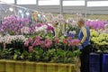 Customer buy phalaenopsis in flower market of taipei city