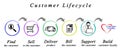 Customer Life cycle
