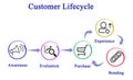 Customer lifecycle