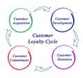 Customer loyalty cycle