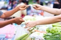 Customer paying bill by cash at market Royalty Free Stock Photo