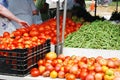 Customer Reaches For Tomato At Farmers Market Royalty Free Stock Photo