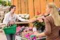 Customer woman shopping flowers in garden center Royalty Free Stock Photo