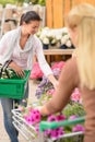 Customer woman shopping for flowers garden center Royalty Free Stock Photo