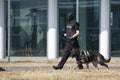 Customs and border protection officer and dog