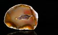 Cut agate gemstone with quartz crystals in geode on a black background Royalty Free Stock Photo