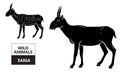 Cut of antelope set. Poster Butcher diagram - Saiga. Vintage typographic hand-drawn. Royalty Free Stock Photo